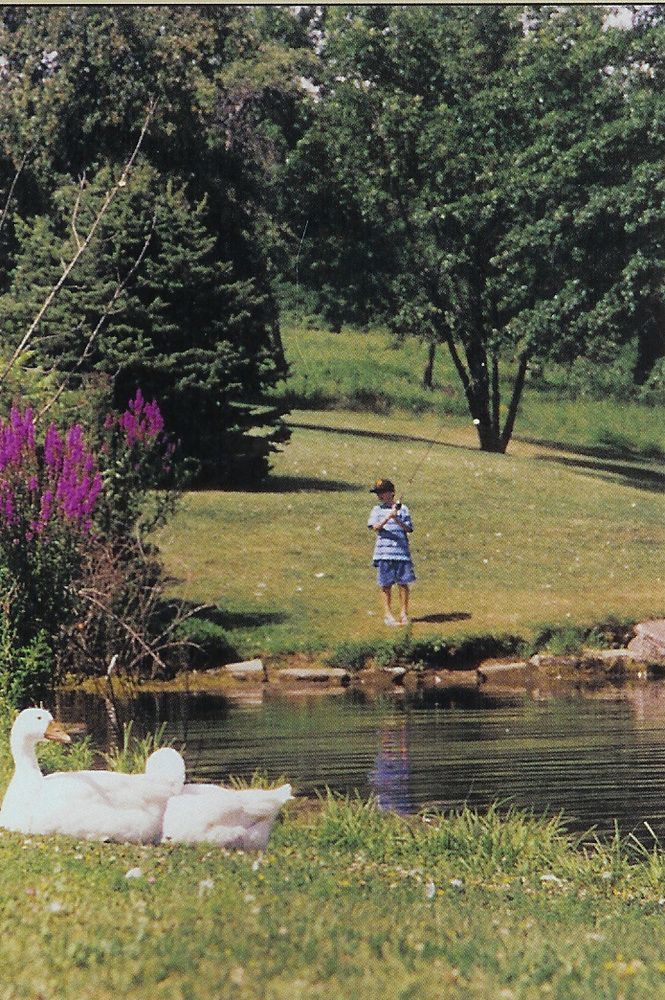 Pollaces Family Vacation Resort Catskill Exterior photo